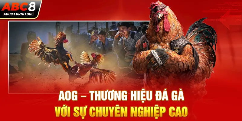 AOG – Thương hiệu đá gà với sự chuyên nghiệp cao