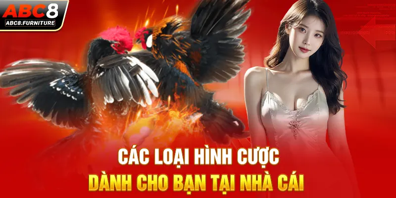 Các loại hình cược dành cho bạn tại nhà cái 