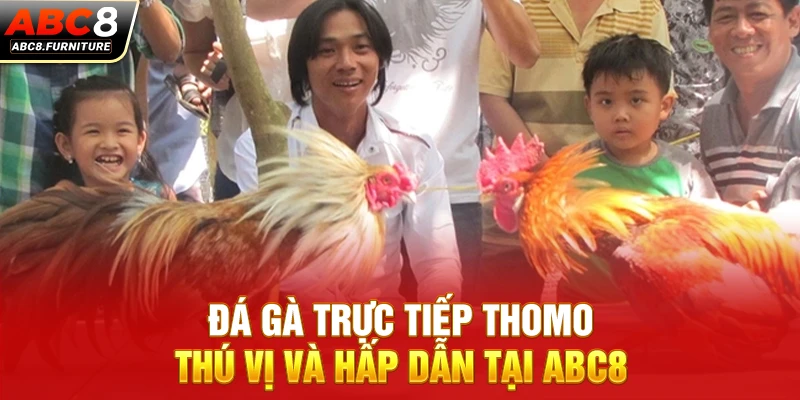 Đá gà trực tiếp Thomo thú vị và hấp dẫn tại ABC8