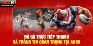 Đá gà trực tiếp Thomo và thông tin quan trọng tại ABC8