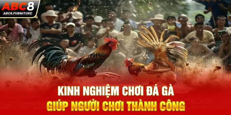 Kinh nghiệm chơi đá gà giúp người chơi thành công