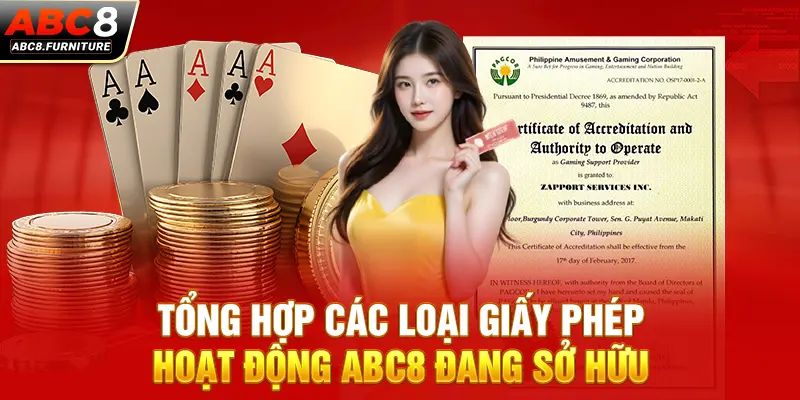 Tổng hợp các loại giấy phép hoạt động ABC8 đang sở hữu