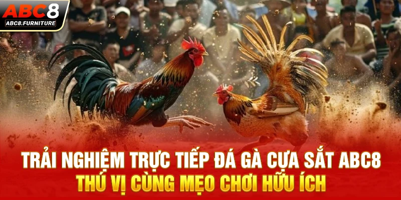  Trải nghiệm trực tiếp đá gà cựa sắt ABC8 thú vị cùng mẹo chơi hữu ích