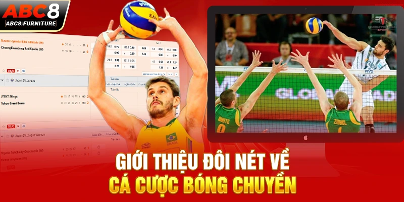 Giới thiệu đôi nét về cá cược bóng chuyền