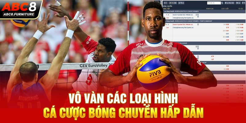 Vô vàn các loại hình cá cược bóng chuyền hấp dẫn